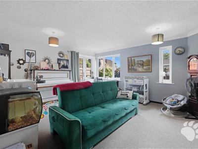 Picture 3